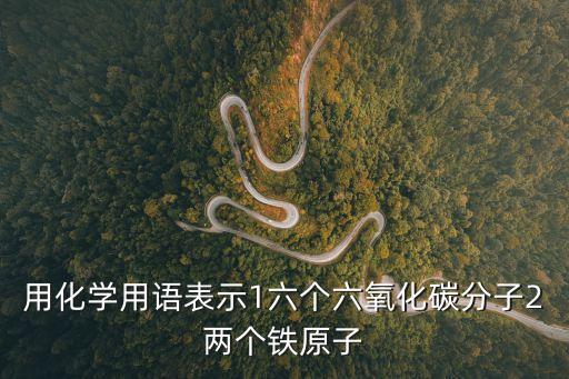 用化學(xué)用語表示1六個(gè)六氧化碳分子2兩個(gè)鐵原子