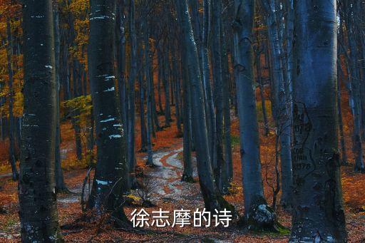 徐志摩詩，徐志摩的詩
