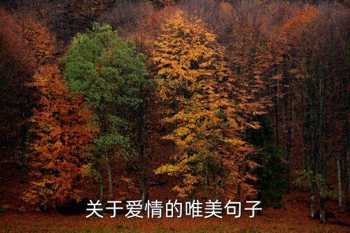 關(guān)于愛情的唯美句子