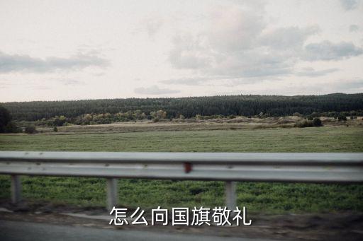 怎么向國旗敬禮