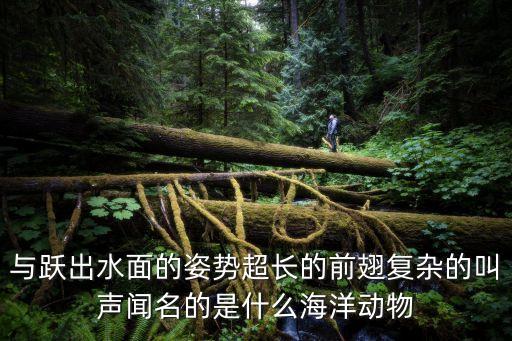 與躍出水面的姿勢超長的前翅復(fù)雜的叫聲聞名的是什么海洋動物