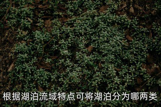 根據湖泊流域特點可將湖泊分為哪兩類