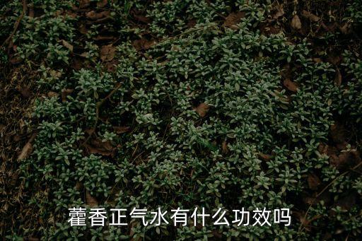 藿香正氣水有什么功效嗎