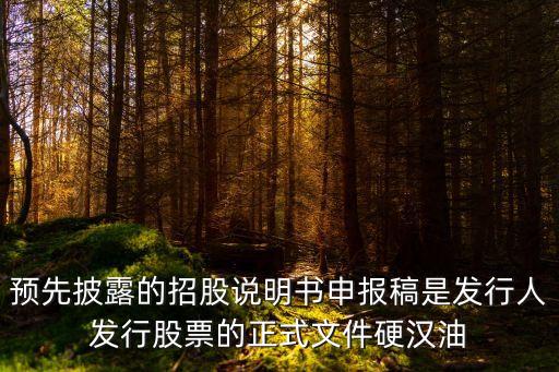 東莞銘普 預披露，預先披露的招股說明書申報稿是發(fā)行人發(fā)行股票的正式文件硬漢油