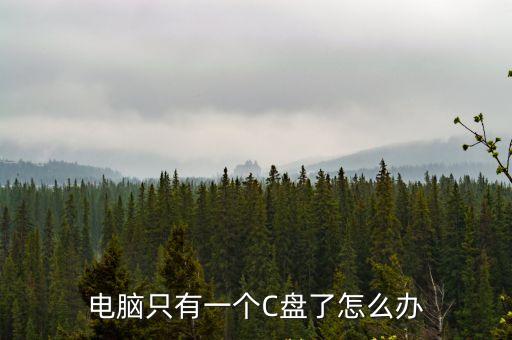 電腦只有一個c盤，電腦只有一個C盤了怎么辦