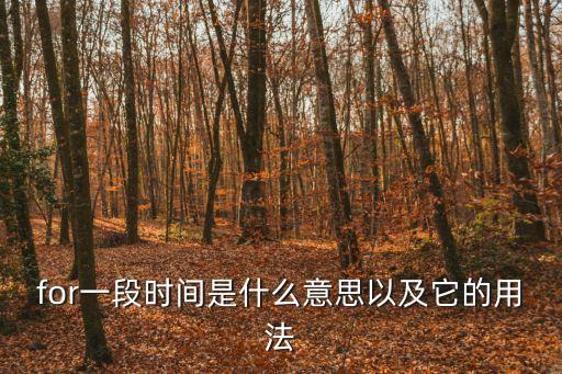 for加一段時間，for加一段時間