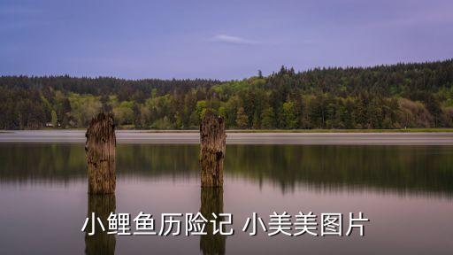 小美女照片，MM圖片