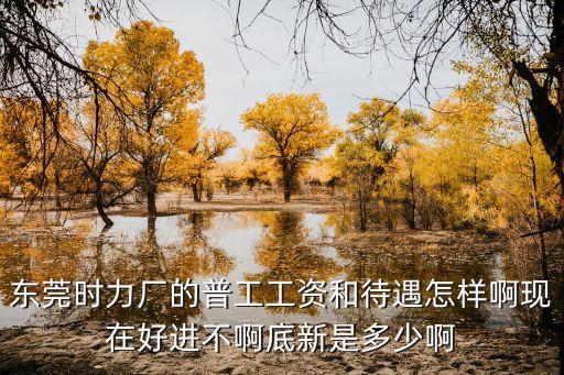 東莞時力廠的普工工資和待遇怎樣啊現在好進不啊底新是多少啊