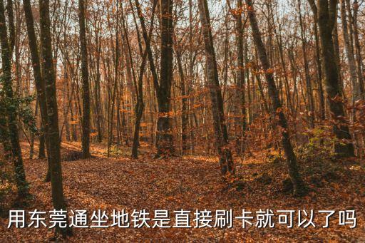 用東莞通坐地鐵是直接刷卡就可以了嗎
