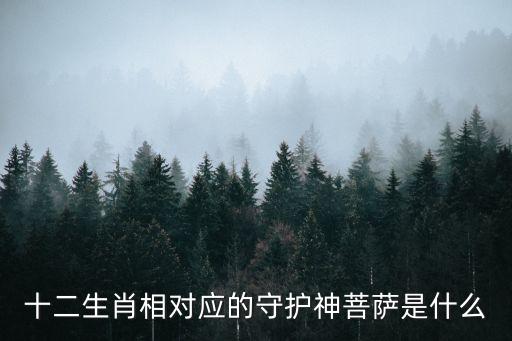 十二生肖相對應的守護神菩薩是什么