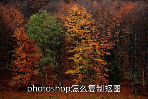 photoshop怎么復制摳圖