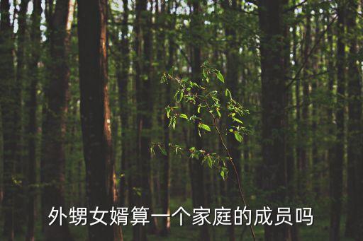 外甥女婿，我應該叫我外甥女的丈夫什么