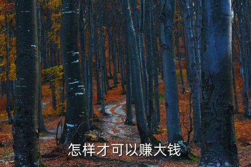 怎樣才可以賺大錢(qián)