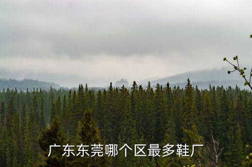 東莞運動鞋廠哪里多，廣東東莞哪個區最多鞋廠