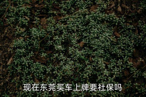 現(xiàn)在東莞買車上牌要社保嗎