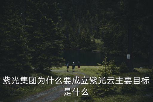紫光集團為什么要成立紫光云主要目標是什么