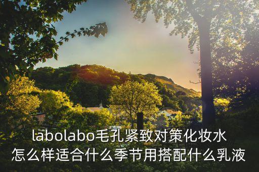 labolabo毛孔緊致對策化妝水怎么樣適合什么季節用搭配什么乳液