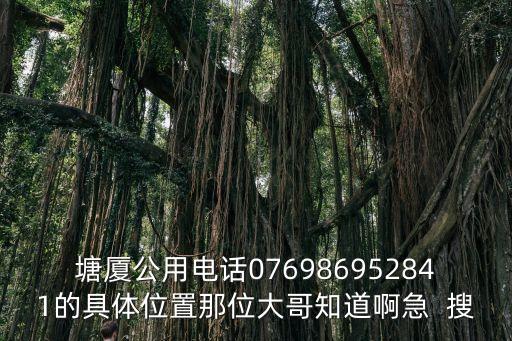 塘廈公用電話076986952841的具體位置那位大哥知道啊急  搜