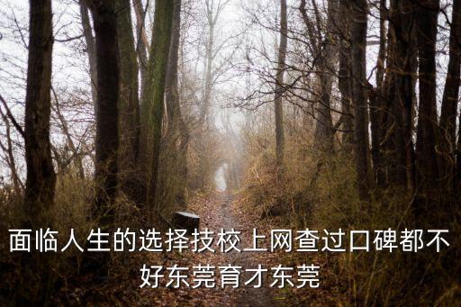 東莞粵華和南華那個好，東莞的中學哪所比較好