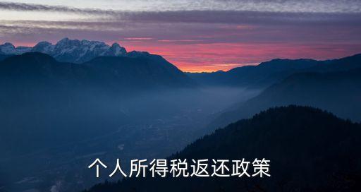 個(gè)人所得稅返還政策