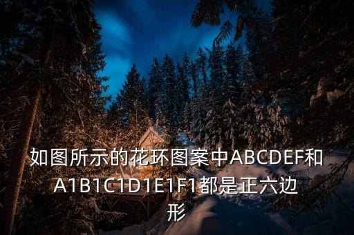 花環(huán)圖片，如圖所示的花環(huán)圖案中ABCDEF和A1B1C1D1E1F1都是正六邊形