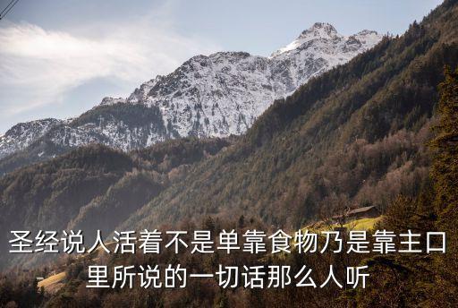圣經說人活著不是單靠食物乃是靠主口里所說的一切話那么人聽
