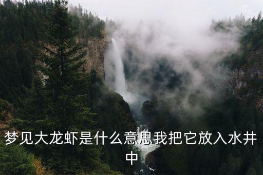 夢見大龍蝦，夢到好大的龍蝦