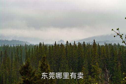 東莞哪里有賣