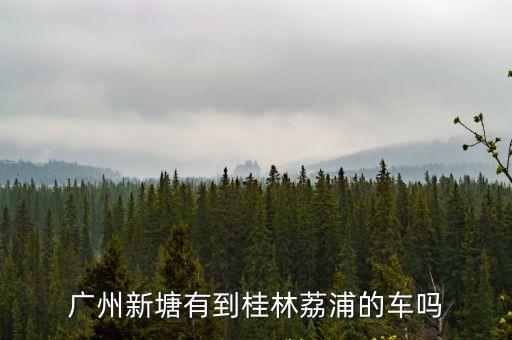 廣州新塘有到桂林荔浦的車嗎