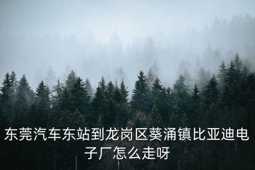 東莞汽車東站到龍崗區(qū)葵涌鎮(zhèn)比亞迪電子廠怎么走呀