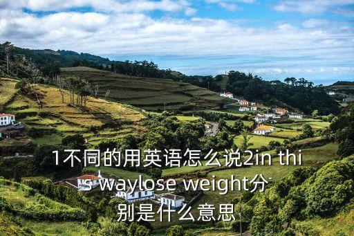 不同的英文怎么說，1不同的用英語怎么說2in this waylose weight分別是什么意思