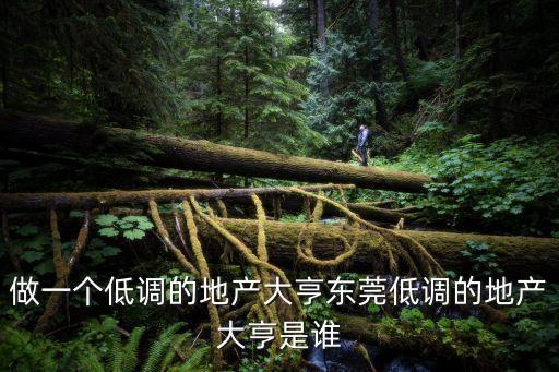 東莞臺商吳松柏投資，臺商在東莞大量投資IT產(chǎn)業(yè)的原因