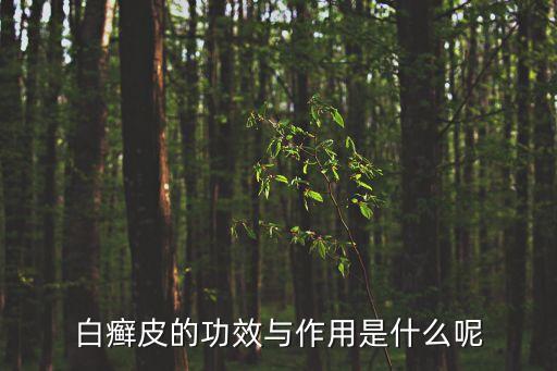 白癬皮，白蘚皮茵陳蒿黨參對(duì)什么病有效果