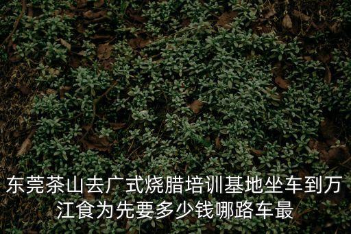東莞茶山去廣式燒臘培訓(xùn)基地坐車(chē)到萬(wàn)江食為先要多少錢(qián)哪路車(chē)最