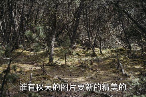 秋天的圖片，秋天的風(fēng)景圖