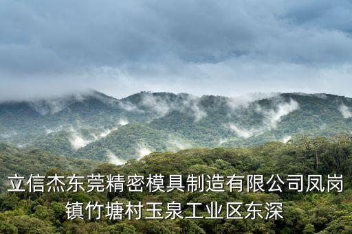 立信杰東莞精密模具制造有限公司鳳崗鎮竹塘村玉泉工業區東深