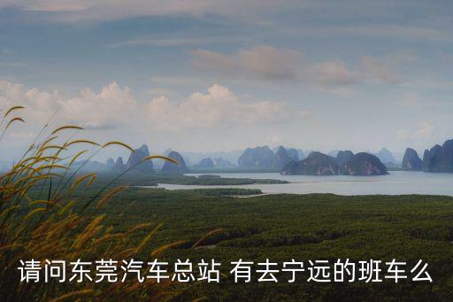 請問東莞汽車總站 有去寧遠的班車么