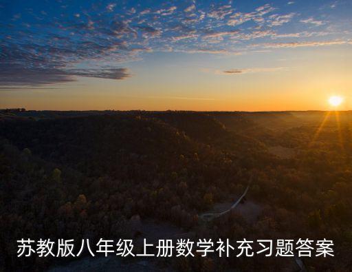 蘇教版八年級上冊數學補充習題答案