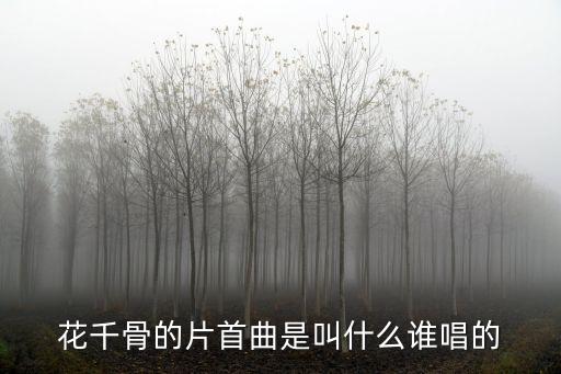 花千骨的片首曲是叫什么誰(shuí)唱的
