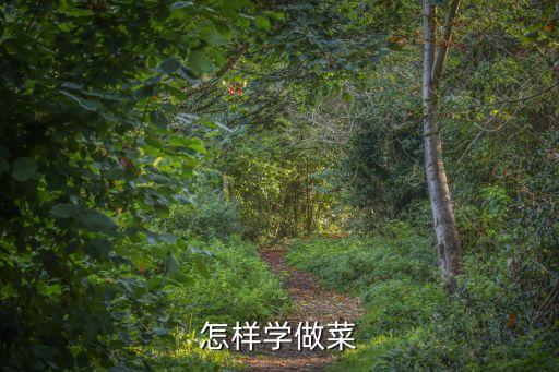 怎么燒菜，廚師炒菜步驟口味秘訣 誰能給我說下