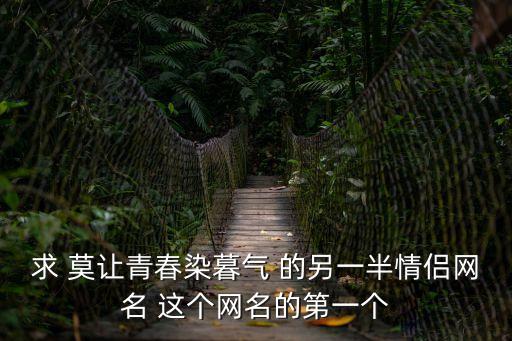 莫讓青春染暮氣，求 莫讓青春染暮氣  的另一半情侶網名