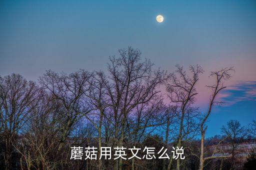 蘑菇用英文怎么說