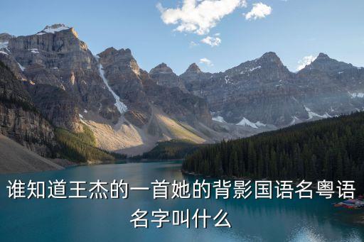 誰知道王杰的一首她的背影國語名粵語名字叫什么