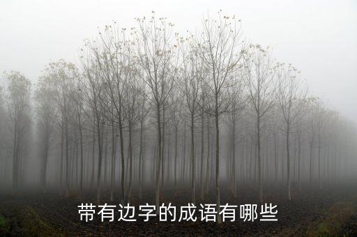 帶有邊字的成語有哪些