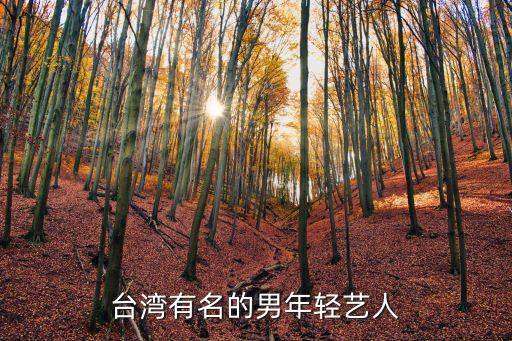 臺灣有名的男年輕藝人