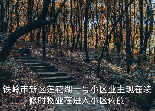鐵嶺市新區(qū)蓮花湖一號小區(qū)業(yè)主現(xiàn)在裝修時物業(yè)在進入小區(qū)內(nèi)的