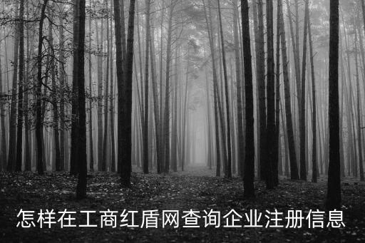東莞紅盾網查詢營業執照查詢，怎樣在工商紅盾網查詢企業注冊信息
