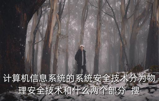 計(jì)算機(jī)信息系統(tǒng)的系統(tǒng)安全技術(shù)分為物理安全技術(shù)和什么兩個(gè)部分  搜