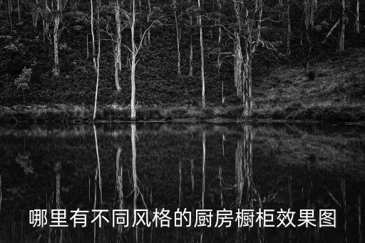 廚房櫥柜效果圖，哪里有不同風格的廚房櫥柜效果圖