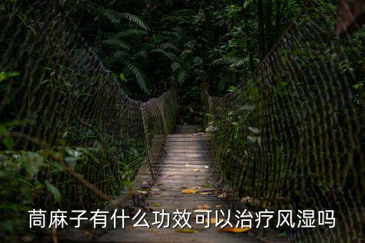 苘麻子，苘麻子的化學成分是什么謝謝了大神幫忙啊